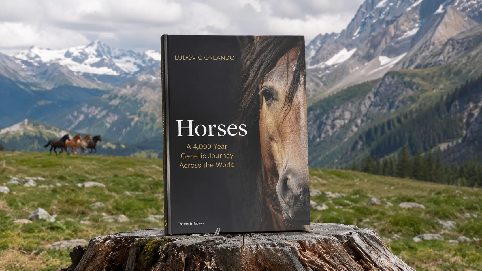 Buku Horses: A 4,000-Year Genetic Journey Across the World karya Ludovic Orlando diletakkan di atas meja baca.